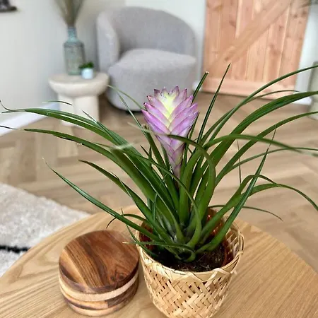 Amsterdam 33, Private Garden *