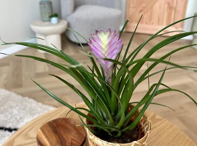 Amsterdam 33, Private Garden *